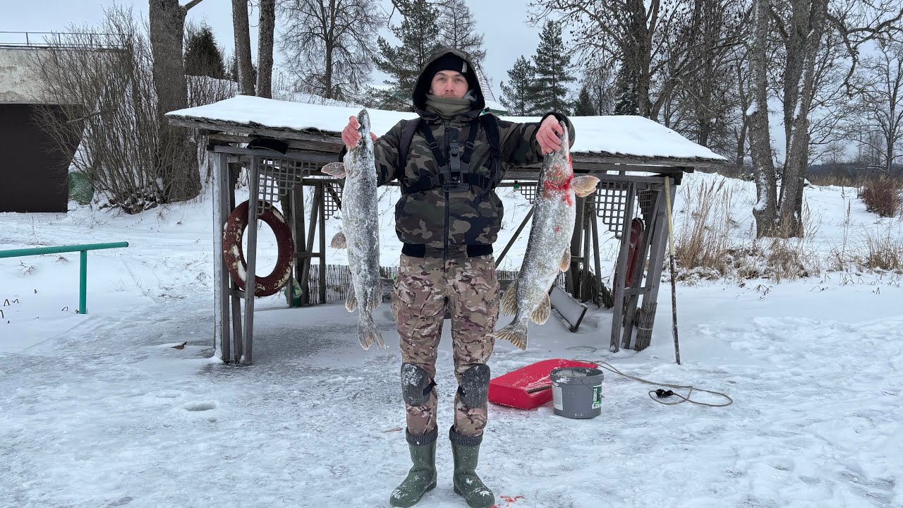 Щуки Трешки +Плюс Бонус. Один День с Моей Рыбалки!!