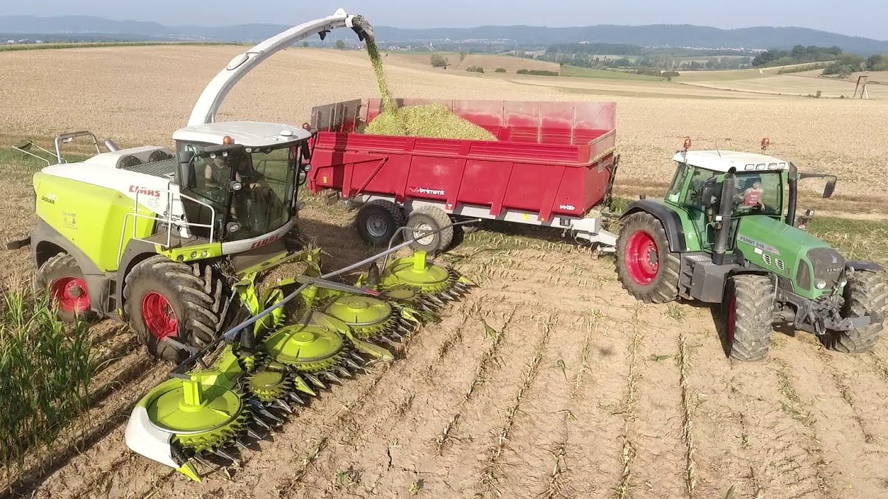 🤠Ensilage de Maïs 10 rangs ! | Claas Jaguar 970 & Fendt 🌽