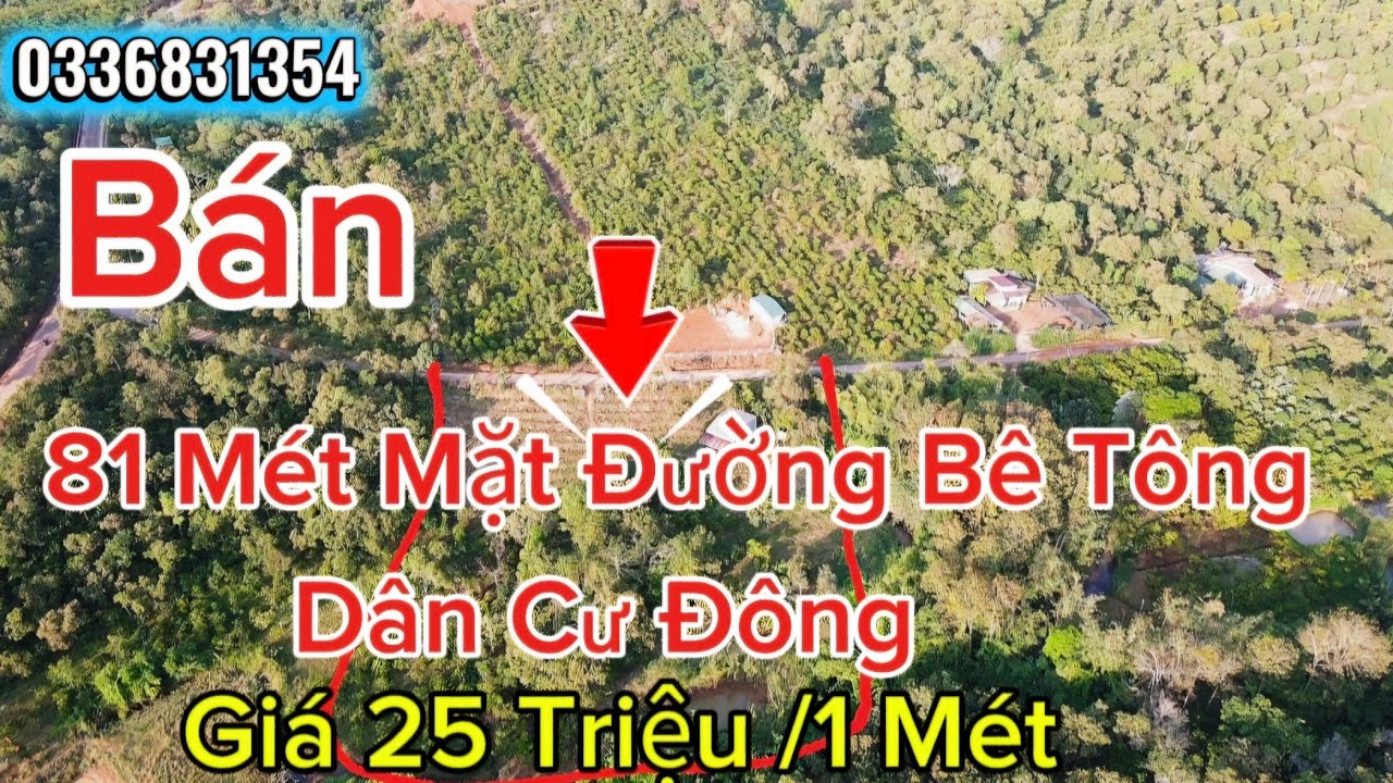 (Số 6)Chủ Cần Bán 81 Mét Dài 85 Mét Mặt Đường Bê Tông. Đất Bằng Đẹp,Có Nhà,Có Điện. Dân Đông