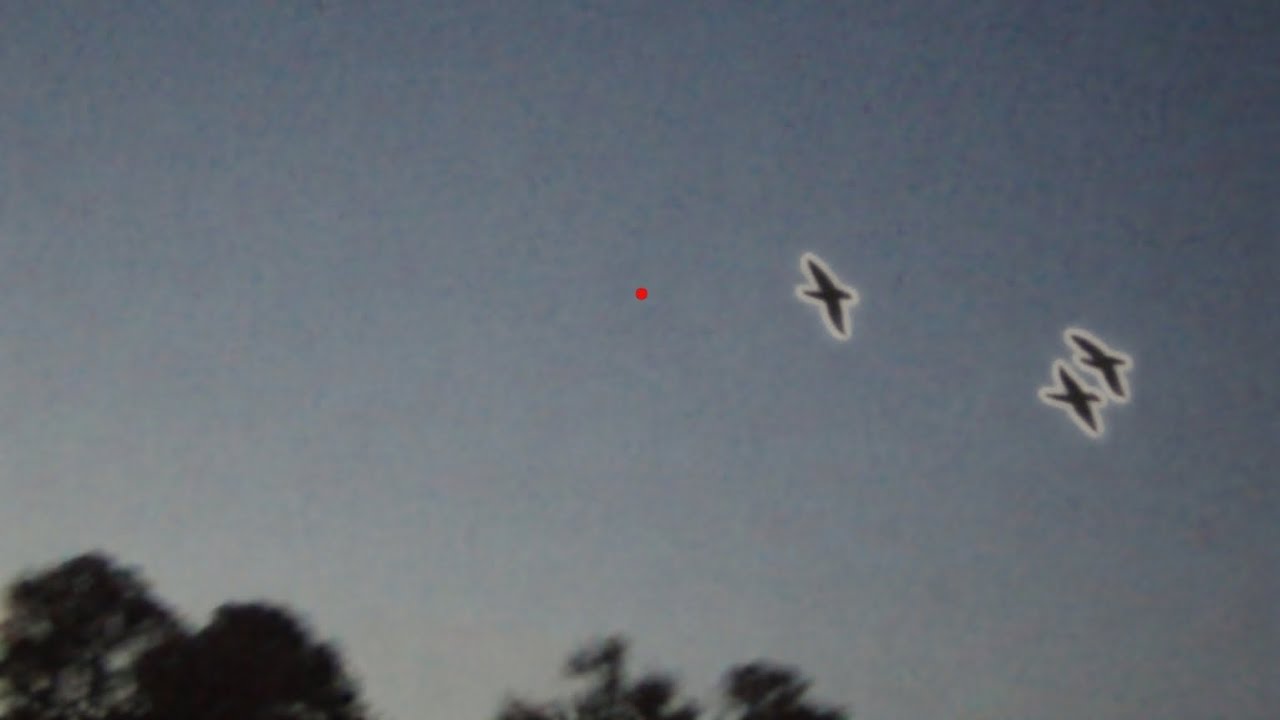 Duck Hunting SC 