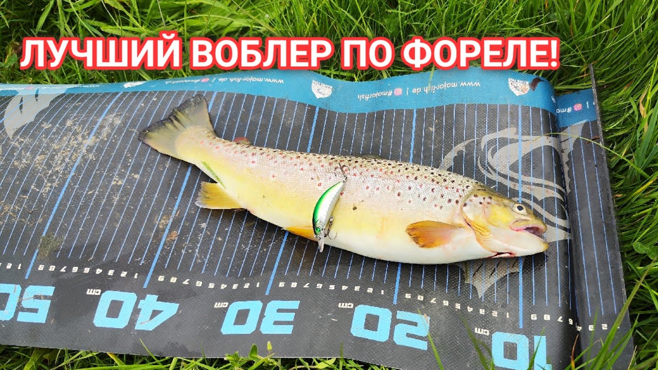 Ловля форели на ультралайт в мае! Воблер который ловит форель! Новый сезон по форели 2024 часть 1.