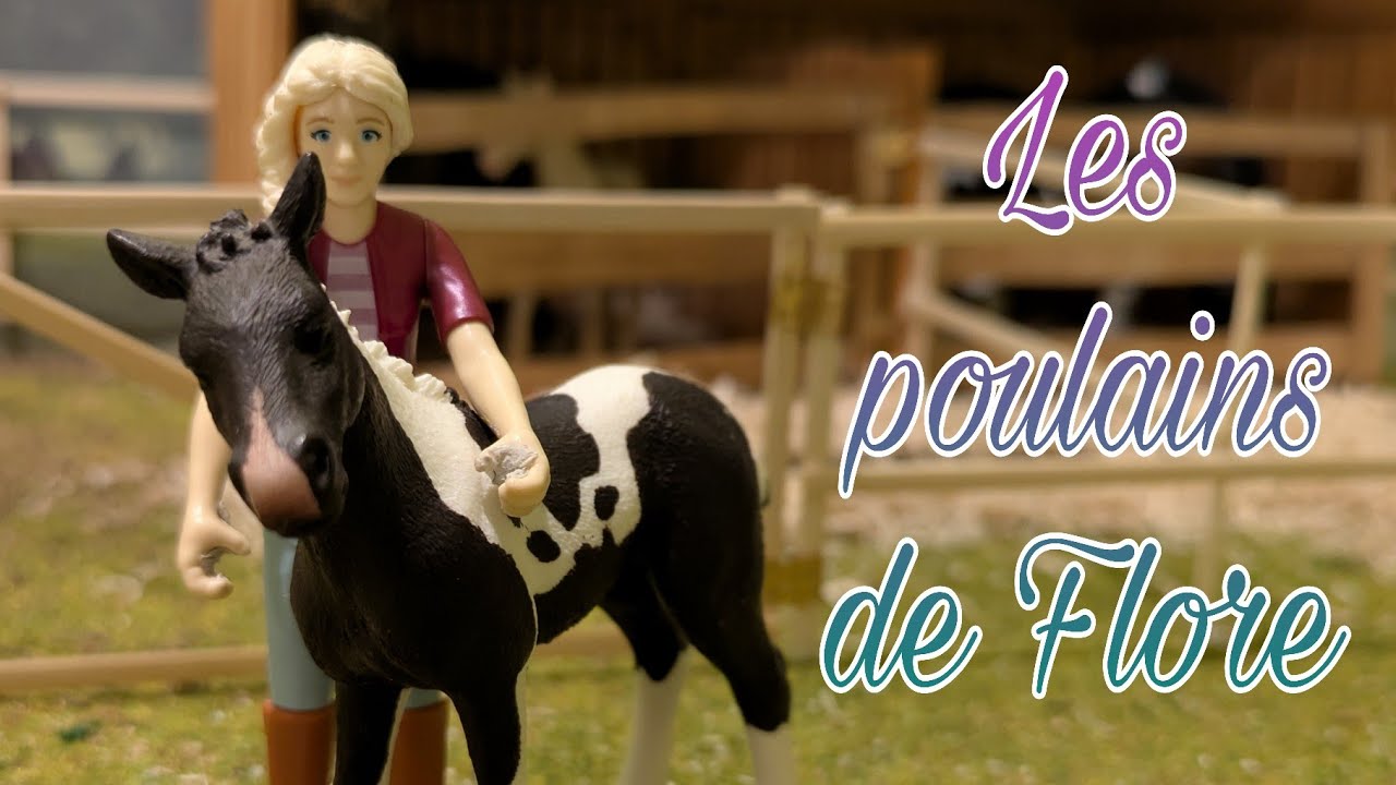 [Introductions] Flore's foals have been born!