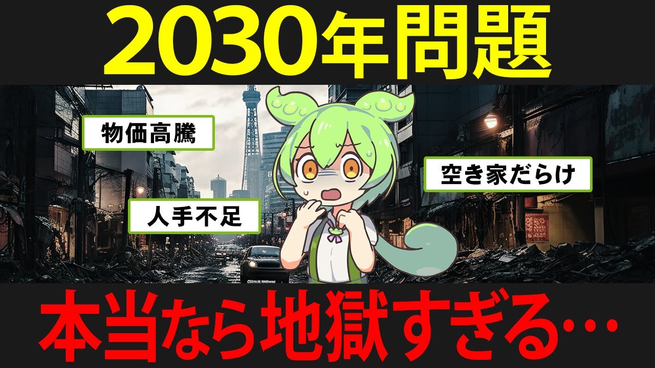 壮絶すぎる2030年問題をずんだもんで分かりやすく解説してみた