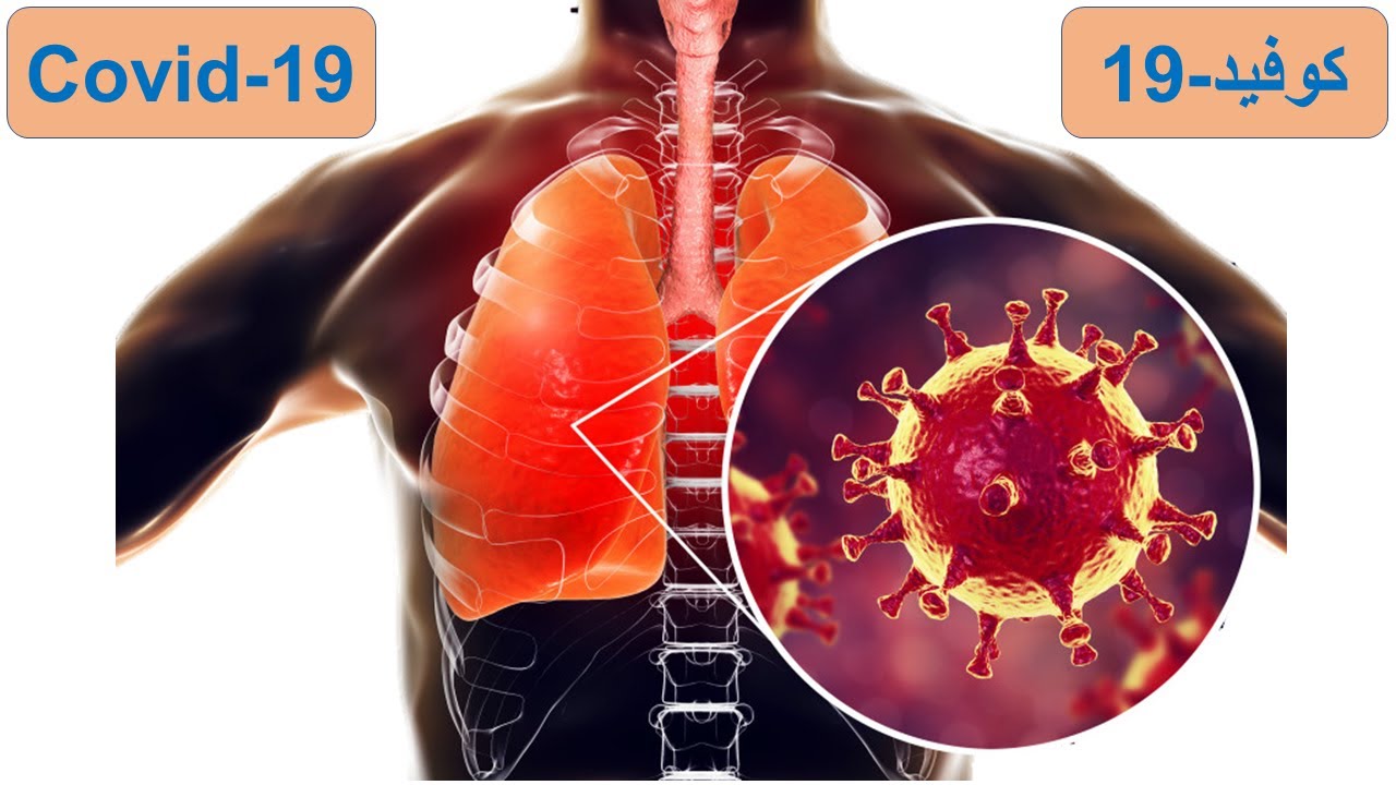 Les termes en relation avec Coronavirus || المصطلحات المتعلقة بكورونا