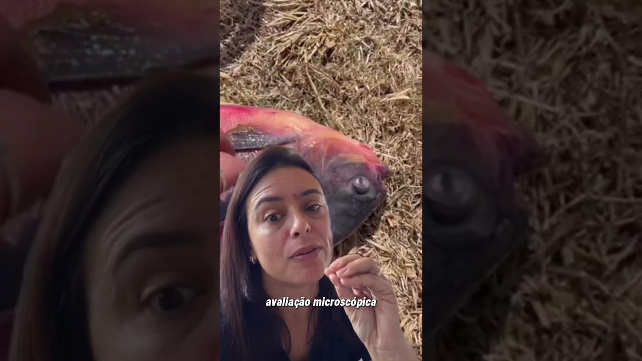 Seus peixes n&atilde;o est&atilde;o com fungo! O verdadeiro inimigo que est&aacute; matando seus peixes est&aacute; disfar&ccedil;ando!