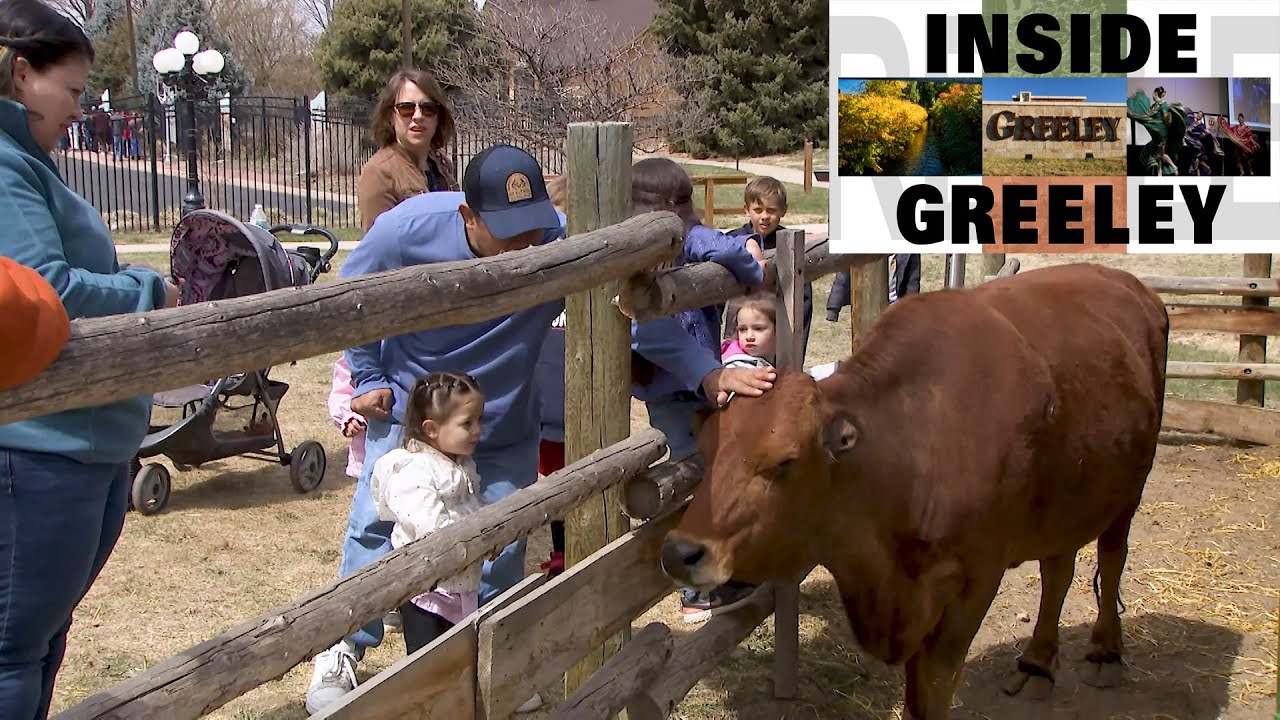Inside Greeley: Centennial Village Museum Opens the Season with Baby Animal Days