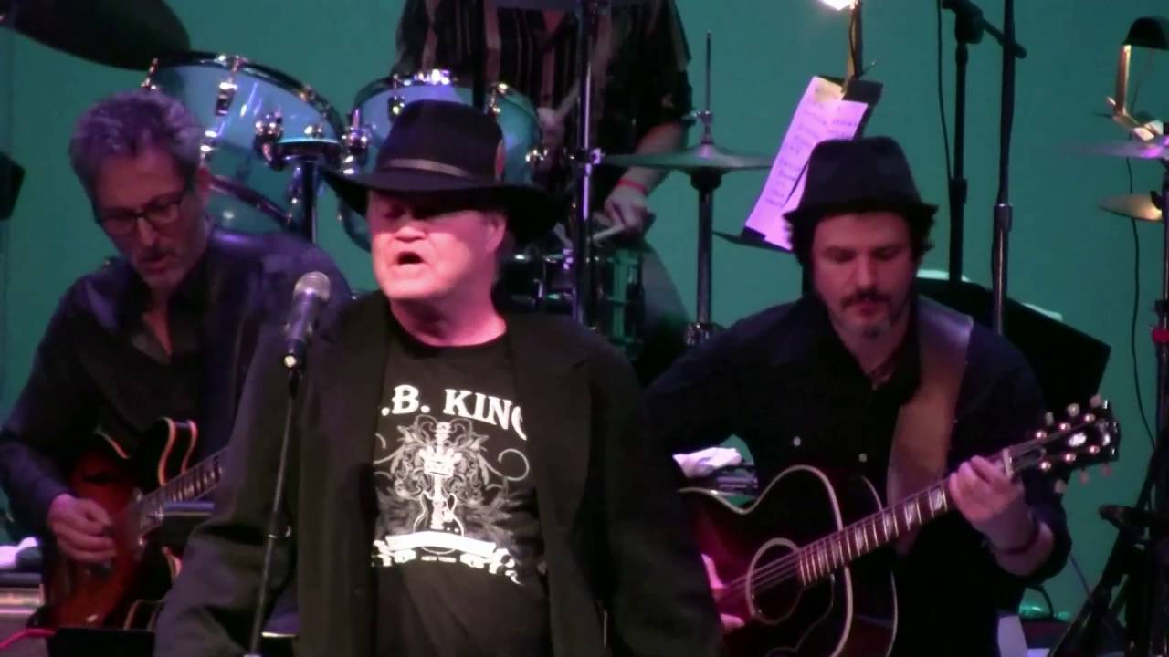 Wild Honey Orchestra-WIld Honey, featuring Micky Dolenz
