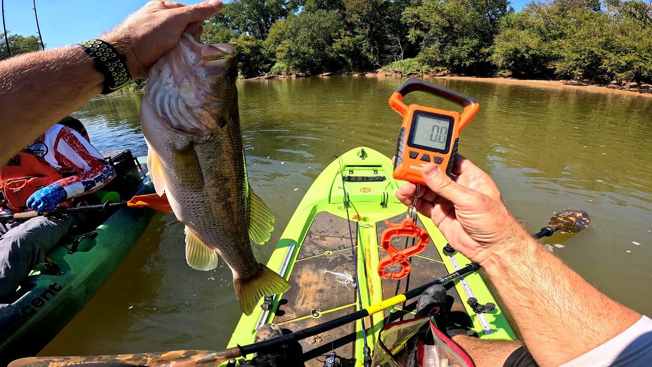 Обзор плавающих водонепроницаемых весов для рыб KastKing WideView