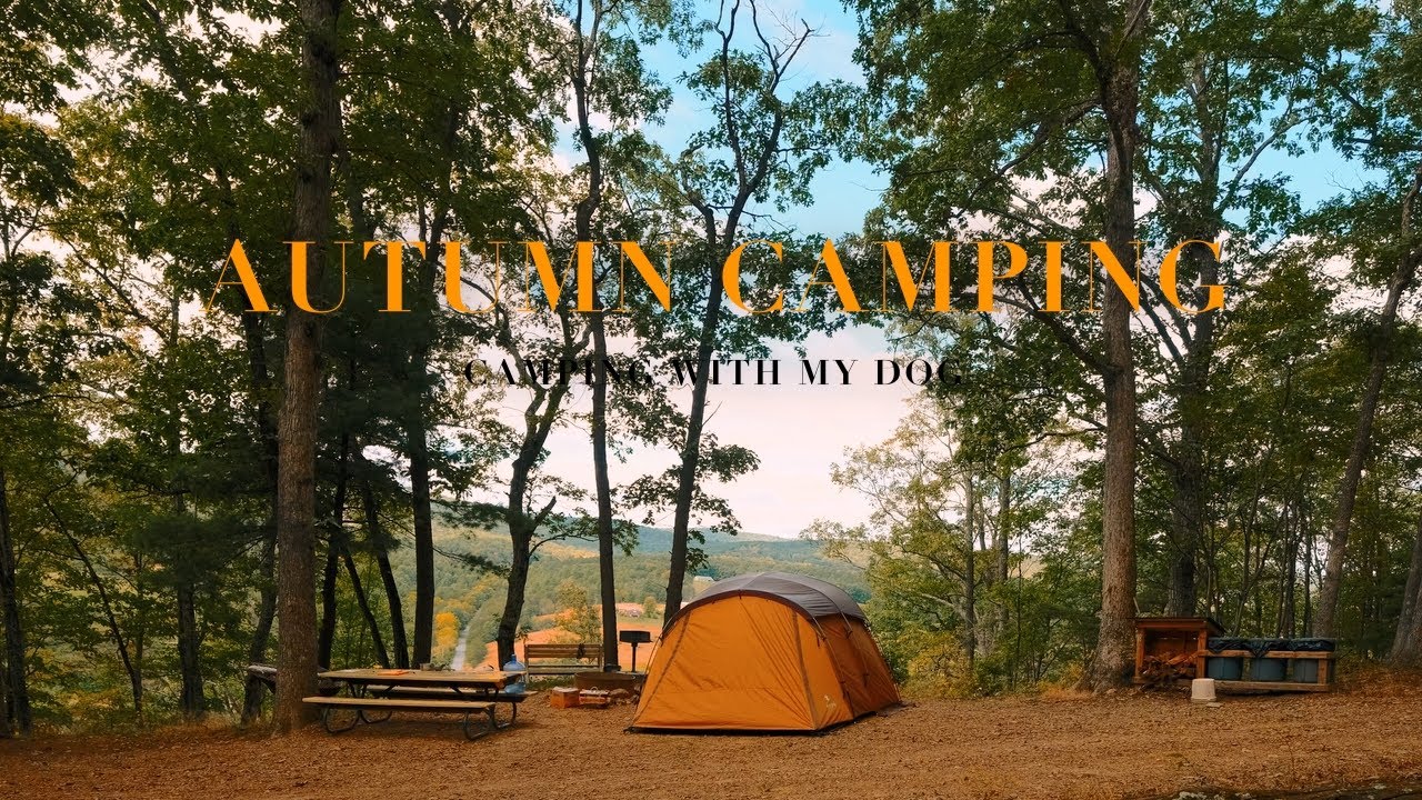 [4K] 🏕 Autumn in Countryside Forest . Camping with My Dog . Snow Peak tent Entry 2 Room Elfield