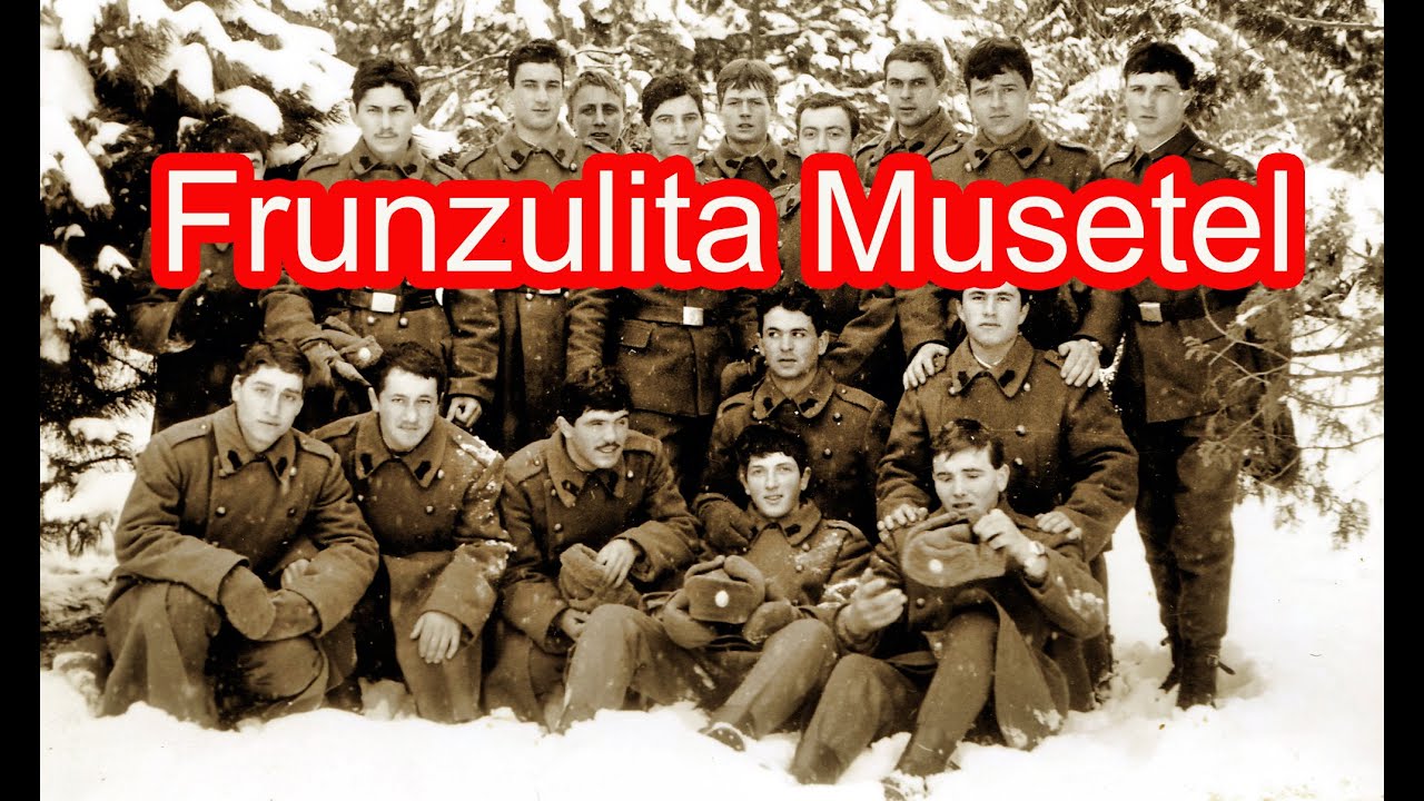 FRUNZULITA MUSETEL, un cantec pe care  l-am cantat in armata. Foto din  colectia personala  anii 80.