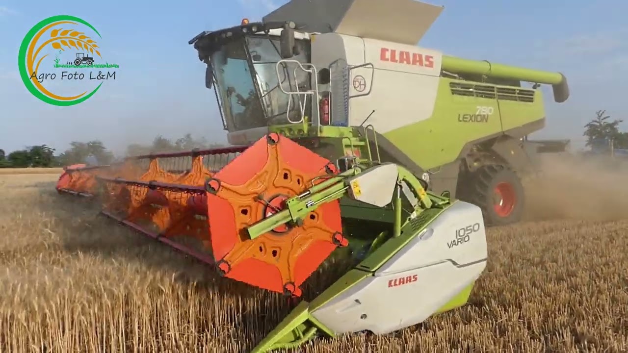 4x Claas Lexion || 3x New Holland / Case / Deutz Fahr || Žatva Pšenica 2022 || SPD Veselé