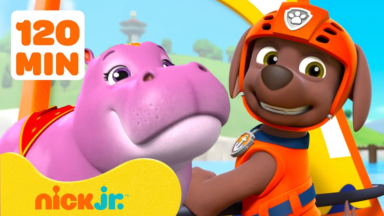 Psi Patrol | Zuma z Psiego Patrolu w wodnych akcjach ratowania zwierząt! | Nick Jr. Polska