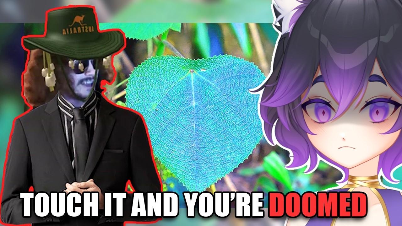 Even the PLANTS are TERRIFYING in Australia! (MoreParz React)