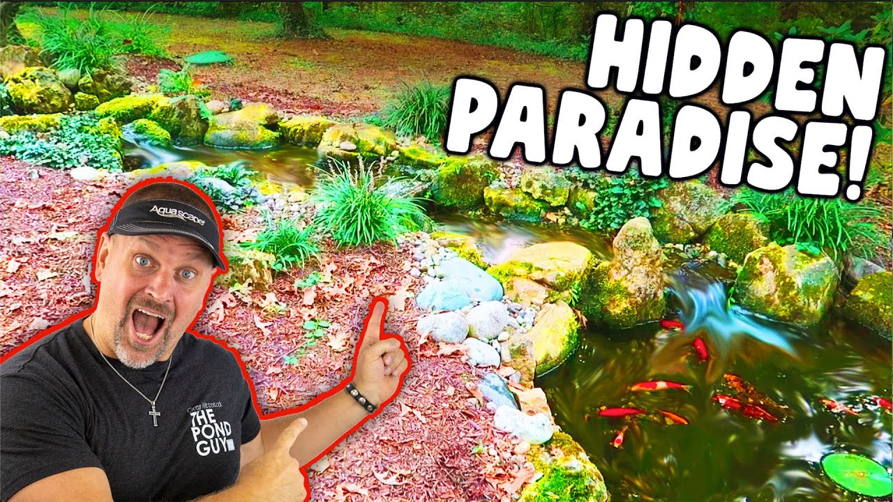 A *POND* in the Middle of the Woods!