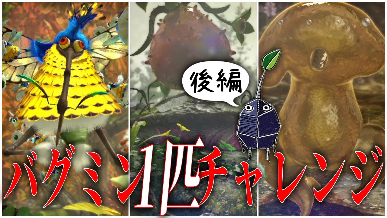 【ピクミン1匹チャレンジ】バグミン1匹で全てのボスたちに挑んでみたらどうなるのか 難易度ゲキカラ 後編【ピクミン３デラックス】