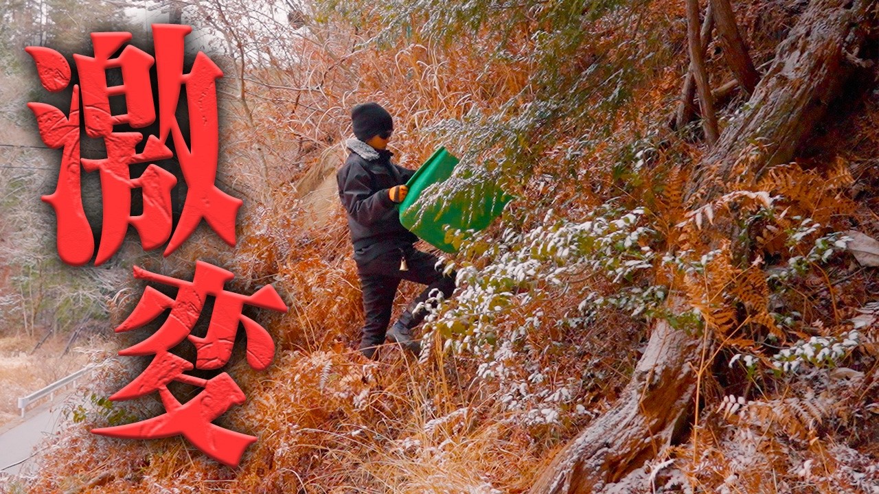 【激変】放置された山の恐ろしさ…超急斜面をスッキリさせる‼️ #719