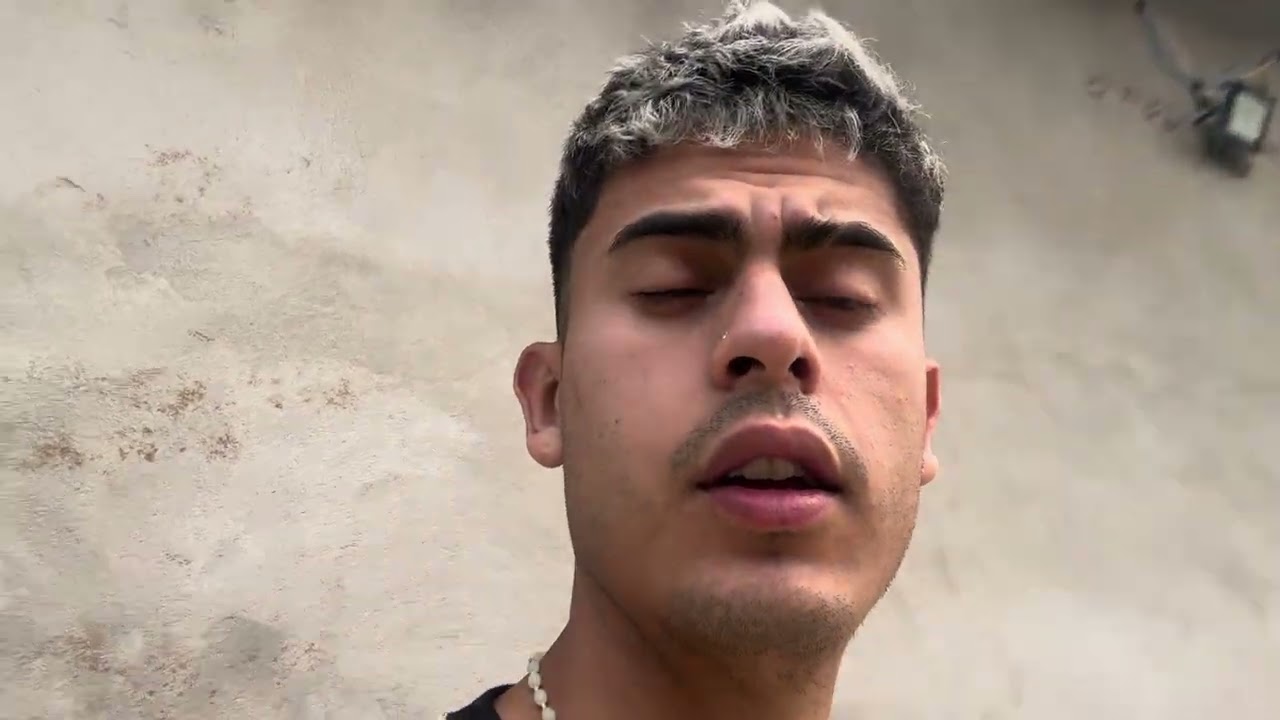 La carne  