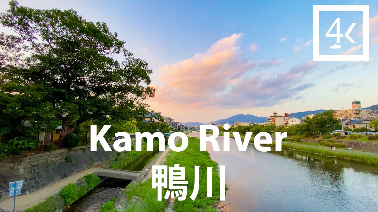 【4K】京都の散策 : 鴨川 | Kyoto Walk | Walk along the Kamo river | Slow TV