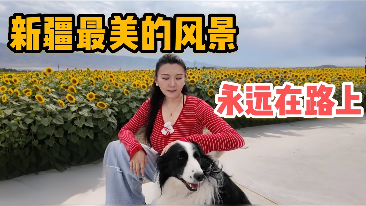 L287集：在新疆旅行，最美的风景永远在路上..遇见特克斯城的“蓝宝石“「ENG SUB」