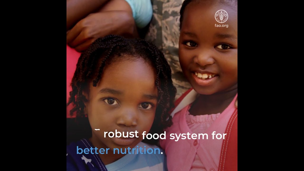 Transforming Africa&rsquo;s food systems for better production, better nutrition, better environment...