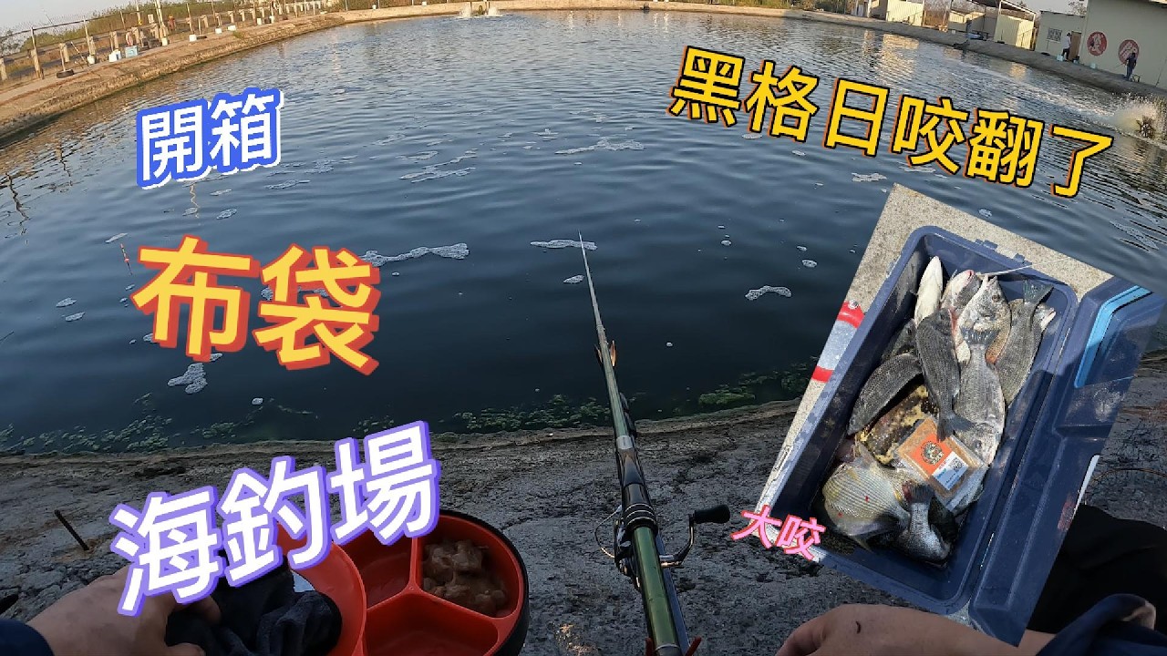 開箱 布袋海釣場 黑格日 咬翻囉南部再次給我驚喜