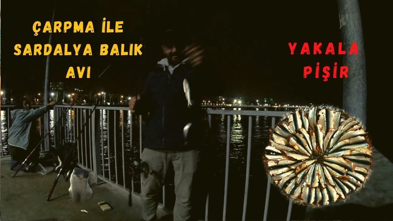 Sardalya Balık Avı Yakala pişir