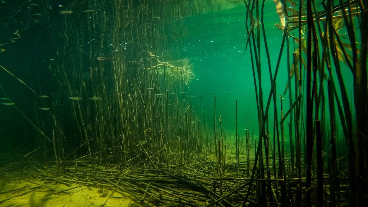 Jezioro Tarnobrzeskie - Machów 29 06 2022