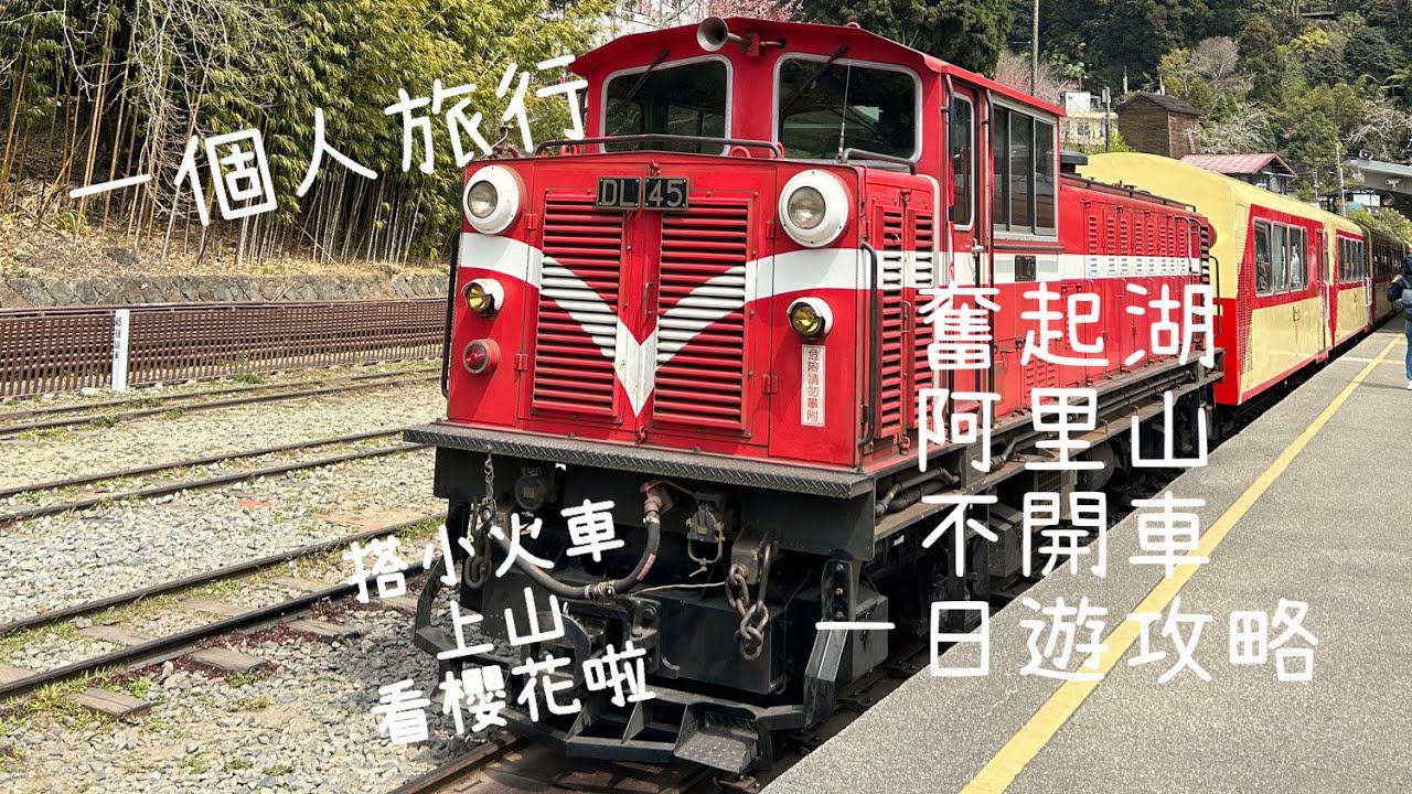 「EP49」丁丁去哪裡~阿里山花季｜一個人旅行不開車奮起湖阿里山一日遊攻略｜阿里山小火車 ｜奮起湖 ｜阿里山森林遊樂區｜鐵路｜台灣好行