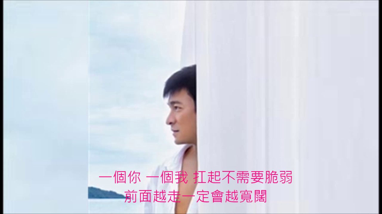 承諾 - 劉德華
