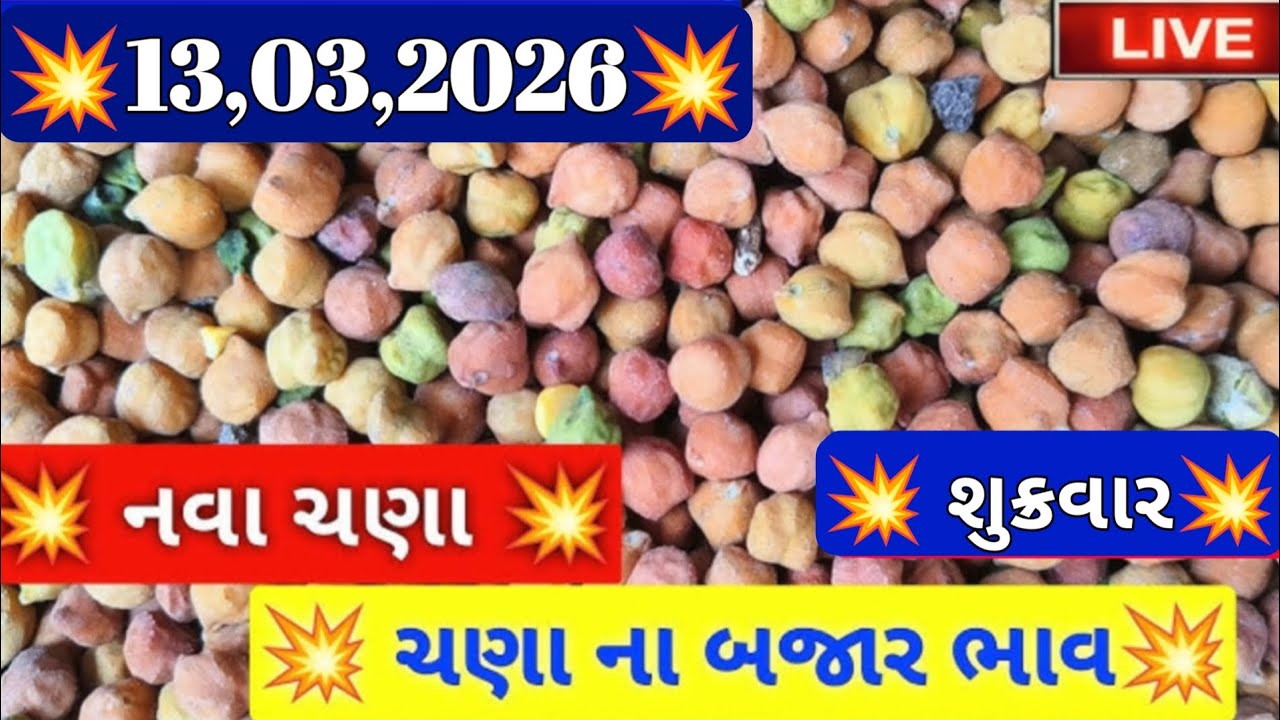 નવા ચણાના બજાર ભાવ / ગોંડલ ચણાના બજાર ભાવ / ગોંડલ નવા ચણા ના બજાર ભાવ / 13,03,2026