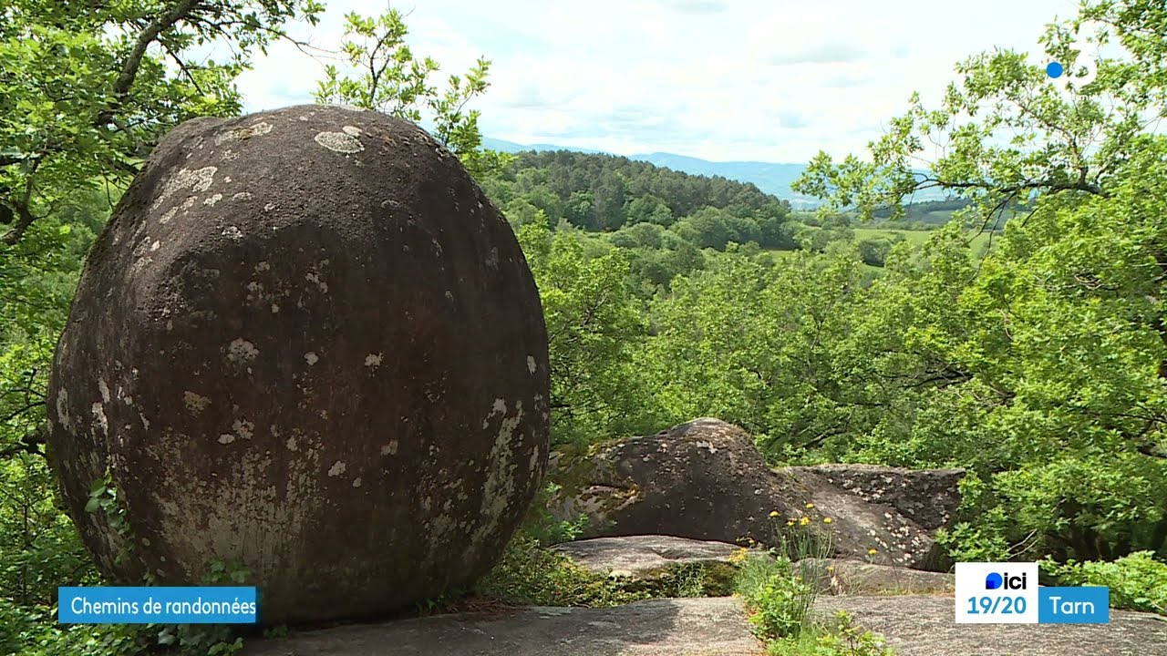 Les chemins de randonn&eacute;e du Tarn s'entretiennent toute l'ann&eacute;e
