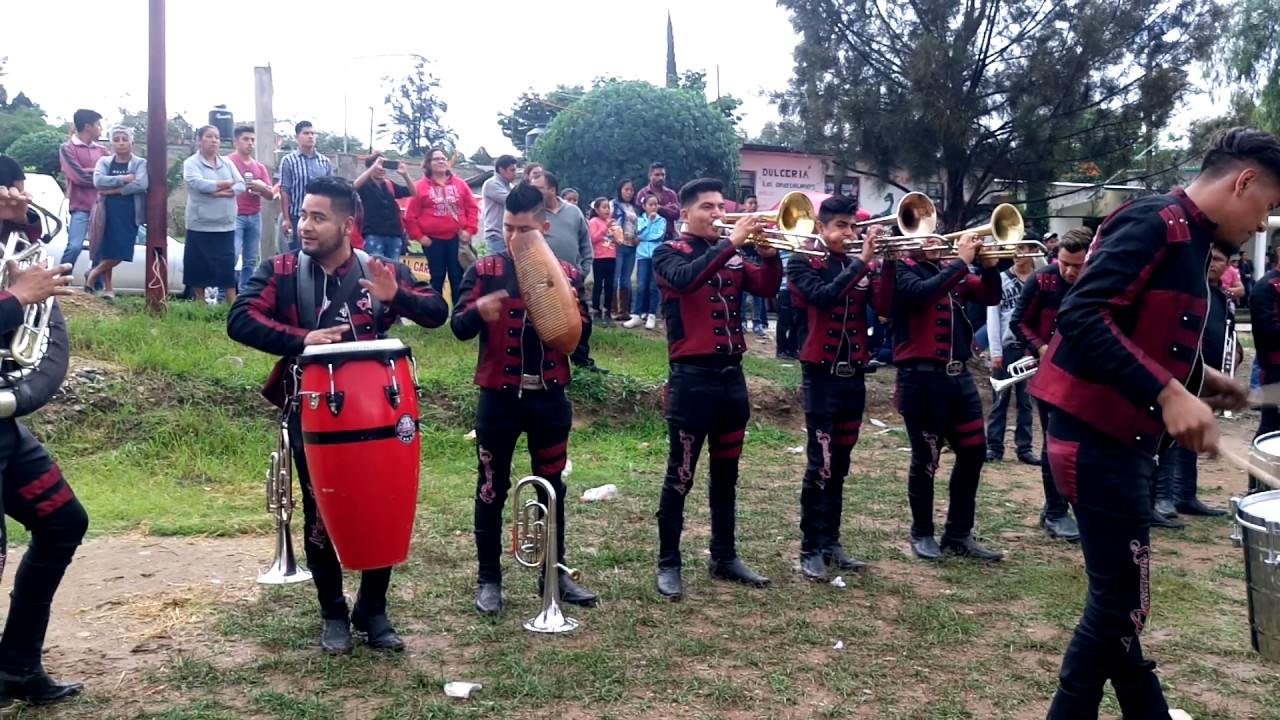 Banda Los Oaxapens | Violeta |