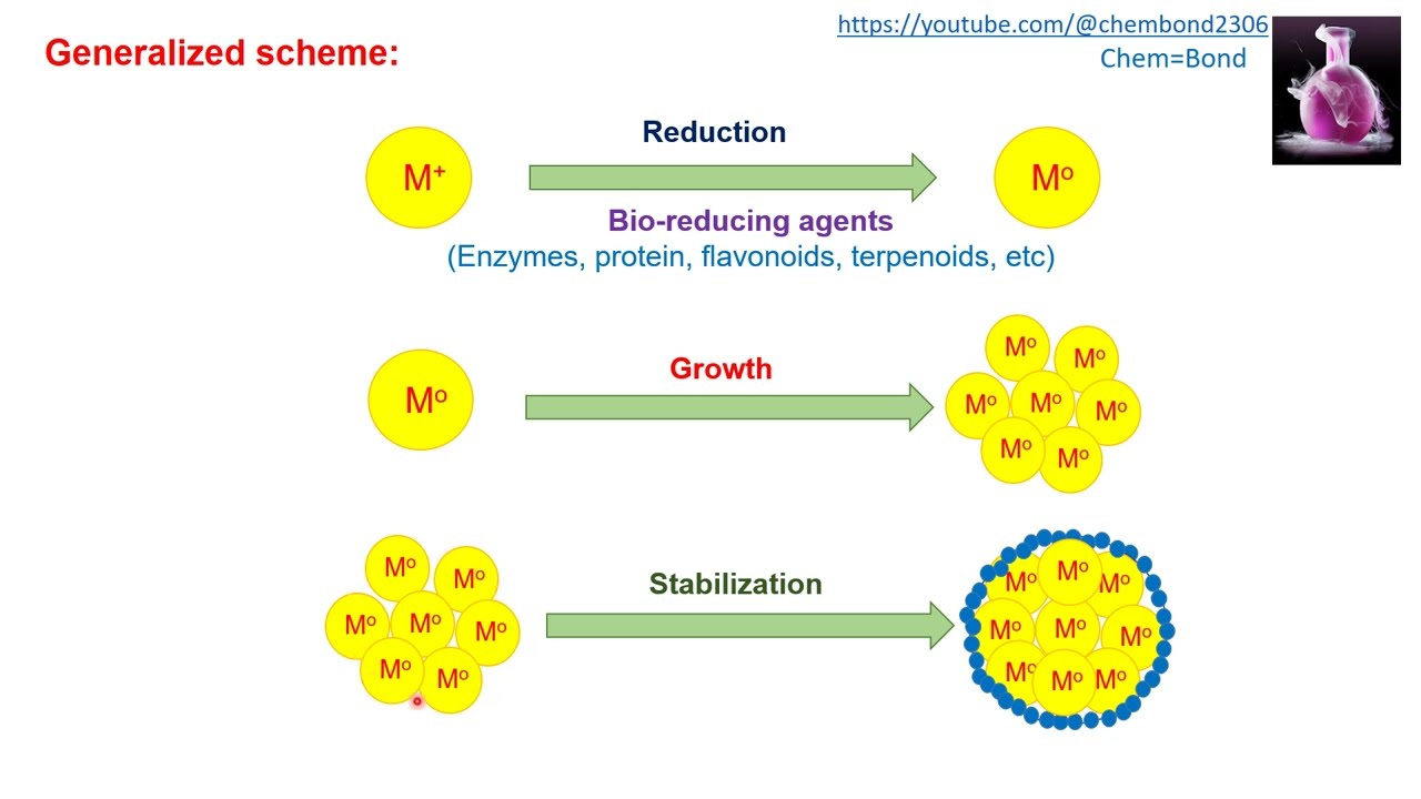 Synthesis of Nanoparticles (biological methods) ,,