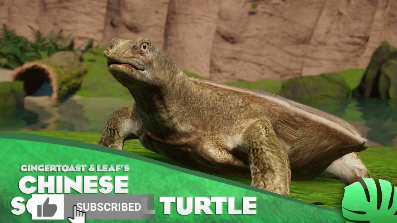 Top 10 Reptilien Tiermods f&uuml;r Planet Zoo [German/Deutsch]