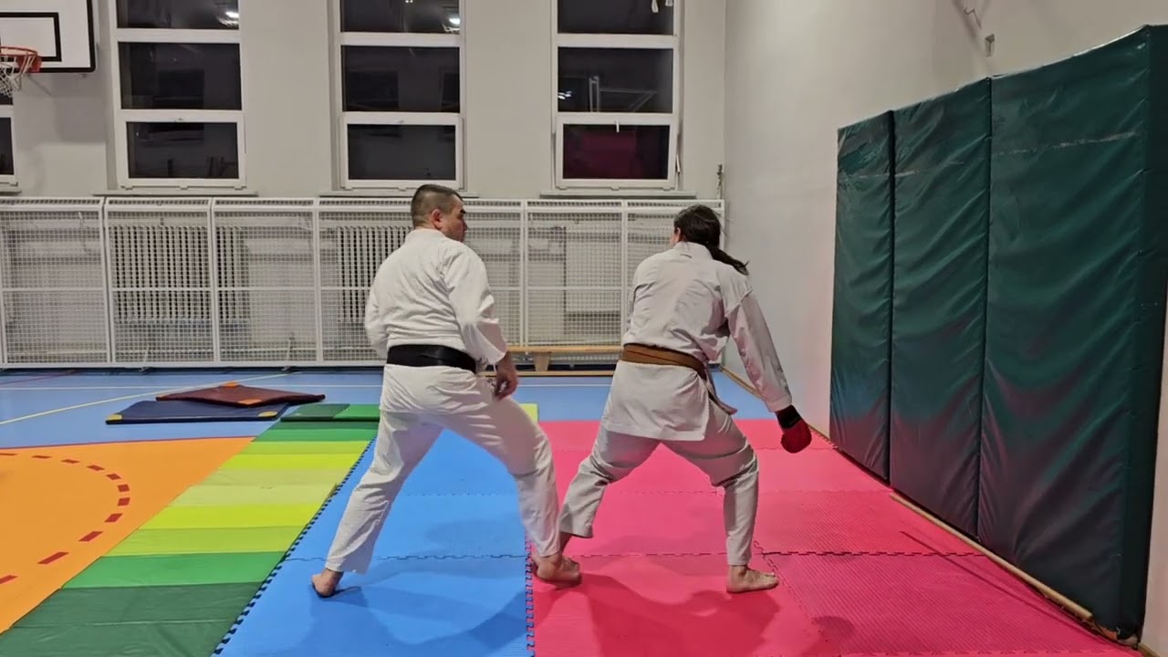 Archiwum treningowe Wado-ryu Karate-do Polska cz.1