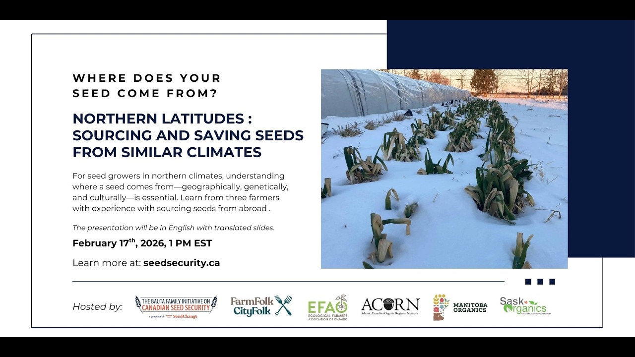 Northern latitudes: Sourcing and saving seeds from similar climates