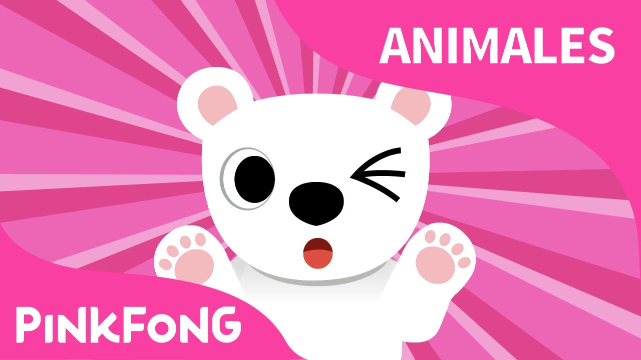 Blanco Oso Polar | Oso Polar | Animales | PINKFONG Canciones Infantiles