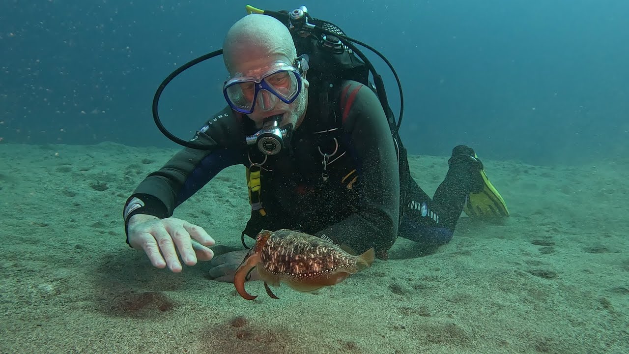 Safari Diving, Playa Chica, Puerto del Carmen, Lanzarote - Secrets of the Sand