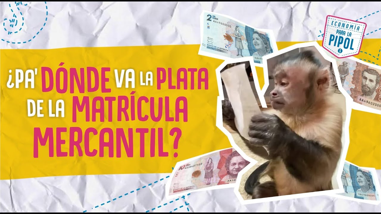 &iquest;Qu&eacute; hacen las C&aacute;maras de Comercio con la plata de la matr&iacute;cula mercantil?