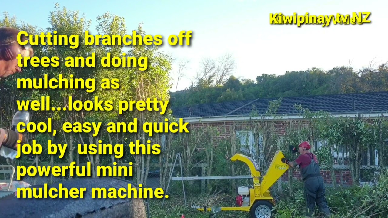 This is how to use powerful mini mulcher machine to make mulch put under the tree astree fertilizer.