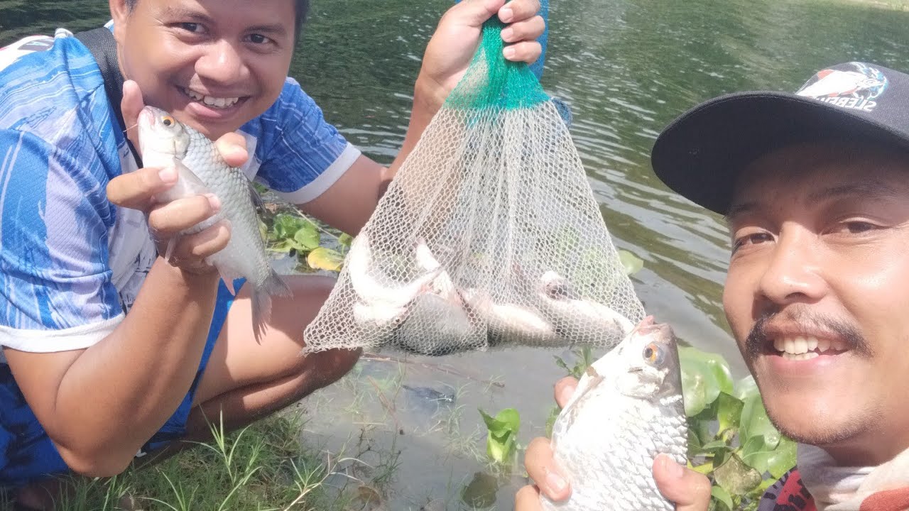 CAMP FISHING ‼️PANEN MAMAH TAWES SIRIP MERAH DENGAN UMPAN JAMAN PURBA ‼️