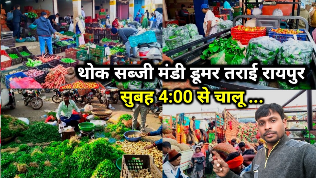 थोक सब्जी मंडी डूमर तराई रायपुर || Wholesale Sabji Mandi Raipur