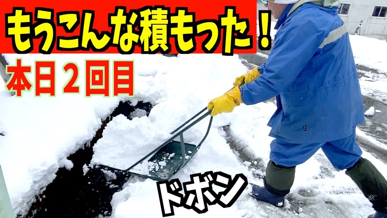 2024-03-02 雪かき！除雪！ドボン！本日２回目で最強スノーダンプ吉鉄登場　朝からまた結構積もった！　 Snow removal ASMR