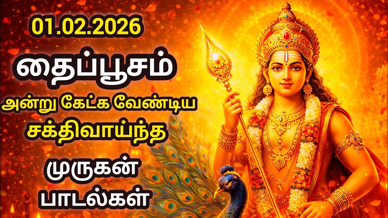 கந்தர் அனுபூதி &முருகன் திருப்புகழ் l தைப்பூசம் அன்று கேட்க வேண்டிய சக்திவாய்ந்த முருகன் பாடல்கள் 