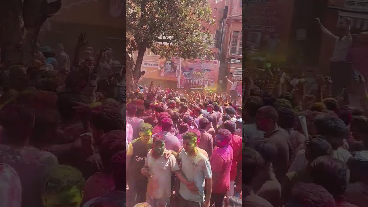 Holi Celebration In Jaipur #holicelebration Holi #jaipur @viral