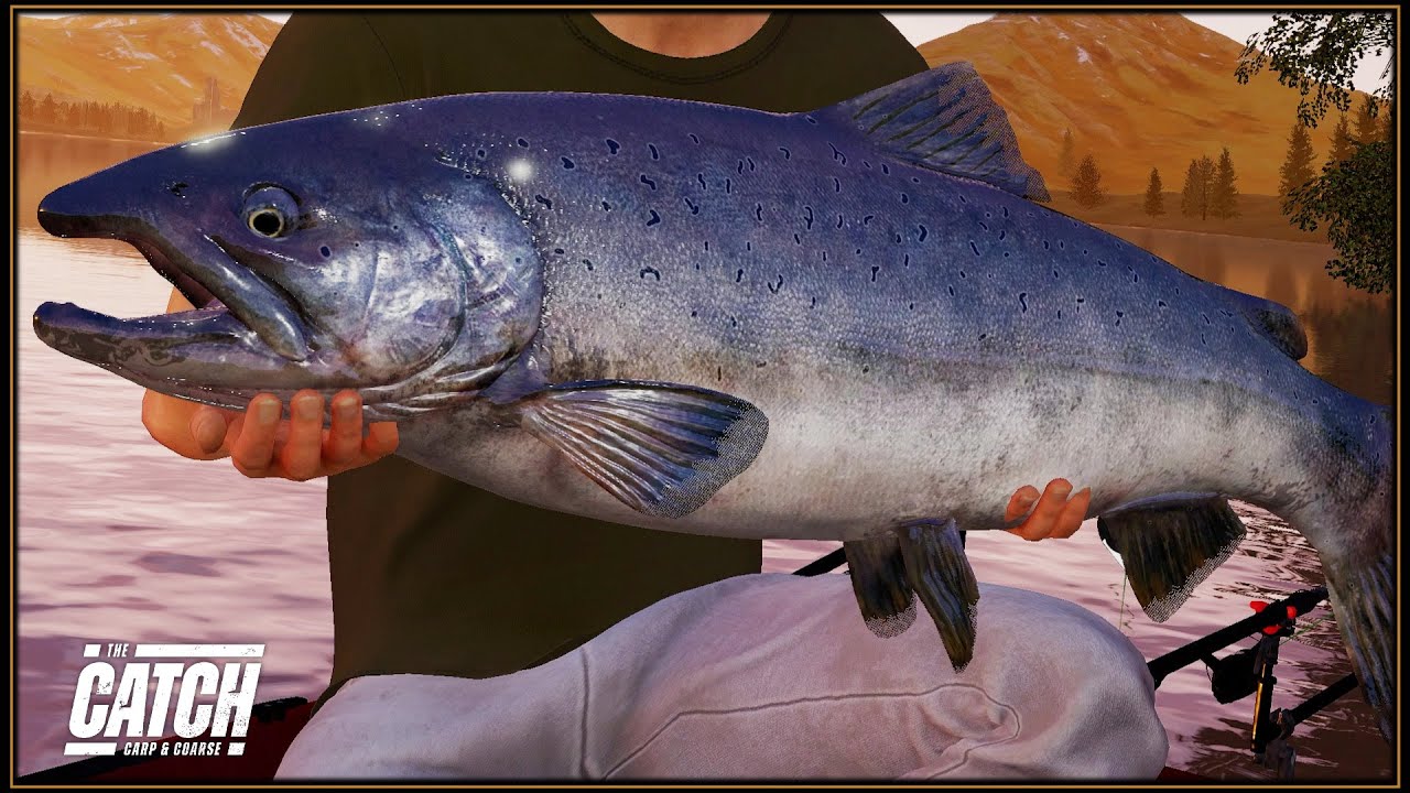 Catching A BOSS FISH - But The WRONG ONE !  The Catch Carp & Coarse