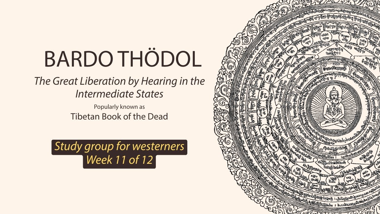 Bardo Thodol Study Group | Week 11