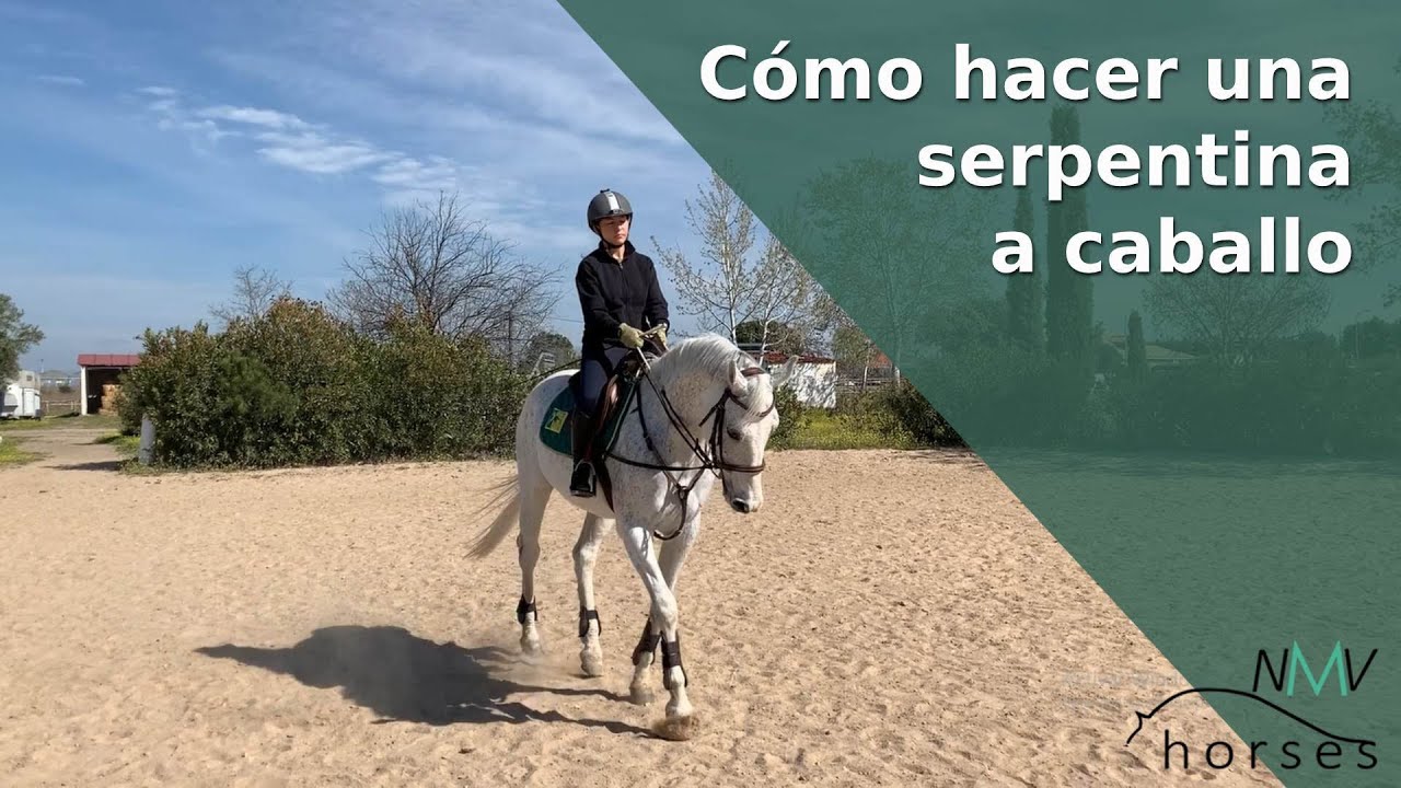 🐴Cómo hacer una serpentina con tu caballo🐴Aprende a montar  a caballo paso a paso🐴