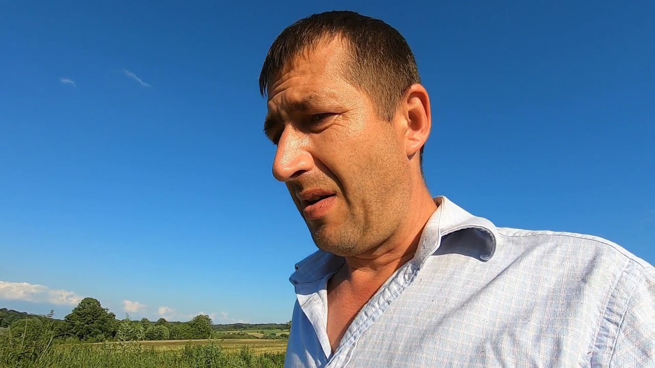 Jak kwitnie lipa, facelia, gryka