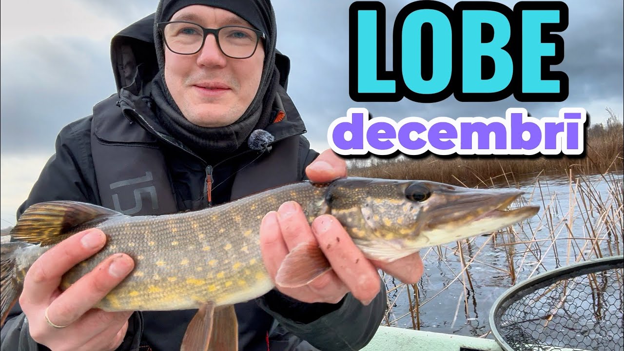 Zeltītās ziemas līdakas Lobes ezerā